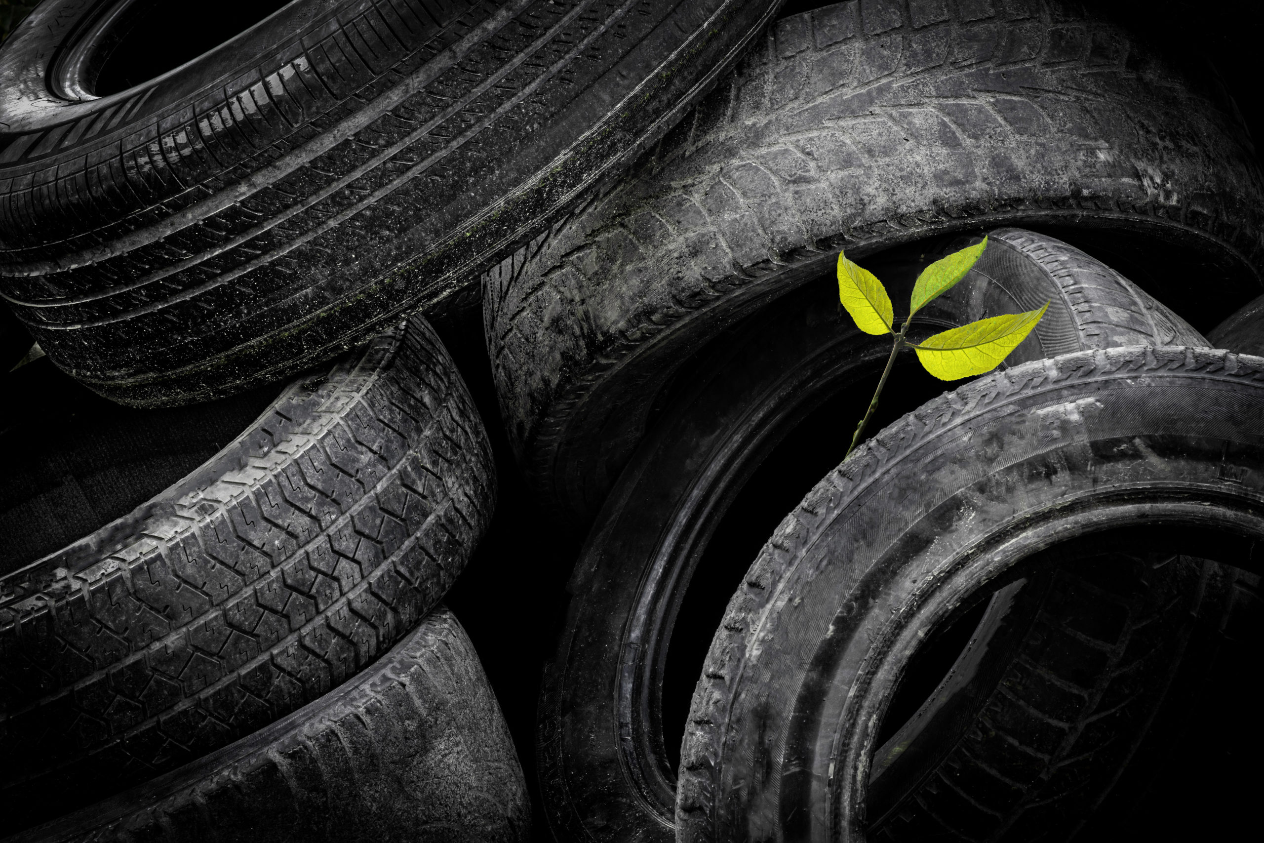 Altreifenstapel mit einem grünen Trieb als Symbol für Recycling